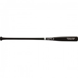 Fungo in Legno